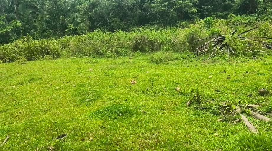 Bohol Land - Cleared Field